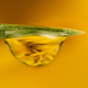 Illustration for article titled 58 Giant Close-Ups Of Plants